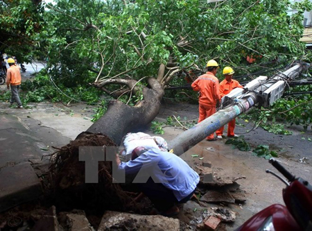 Cây xanh trên đường Lê Lai, thành phố Thanh Hóa bị gãy đã quật ngã cột điện.
